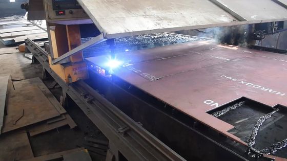 Accesori di ricambio per pavimenti di asfalto BF800C Piastra a vite NM400 Acciaio S600 Piastra a vite